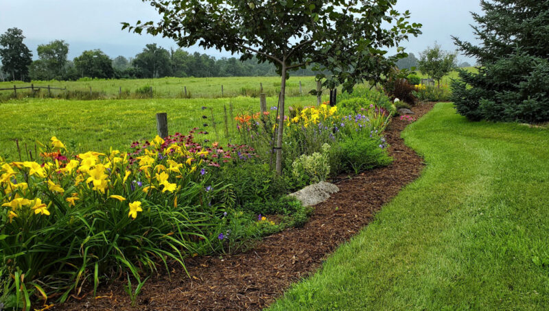 Gardening sustainably  in 2025